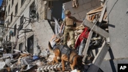 22 جون، 2024 بروز ہفتہ، یوکرین کے خارکیف میں روسی فضائی بم کی زد میں آنے کے بعد ایک کتے کے ساتھ ایک امدادی کارکن تباہ شدہ اپارٹمنٹ کی عمارت میں متاثرین کی تلاش کر رہا ہے۔ (اے پی فوٹو)