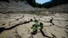 فرانس میں گرمی کی چوتھی لہر: شدید خشک سالی، پانی کی راشن بندی