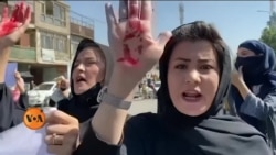 کابل میں دہشت گردی، کیا طالبان کی گرفت کمزور پڑگئی ہے؟