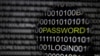Việt Nam lần ra hacker tấn công website sân bay