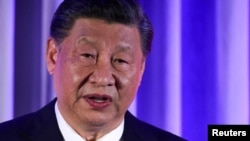 Nhật báo Nhân Dân ở Bắc Kinh đã viết 5 bài tán tụng bài thuyết trình của Tập Cận Bình trước Ủy ban Thanh tra Kỷ luật, nói rằng đảng Cộng sản Trung Quốc đã “mở một mặt trận lớn chưa từng thấy trong lịch sử,” và thành công. 